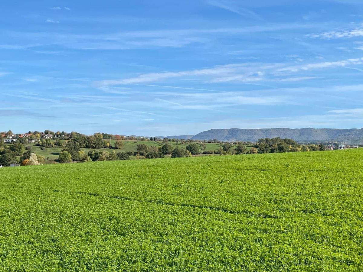 Sonnige 3 Mit Schönem Balkon Im Grünen * Reutlingen