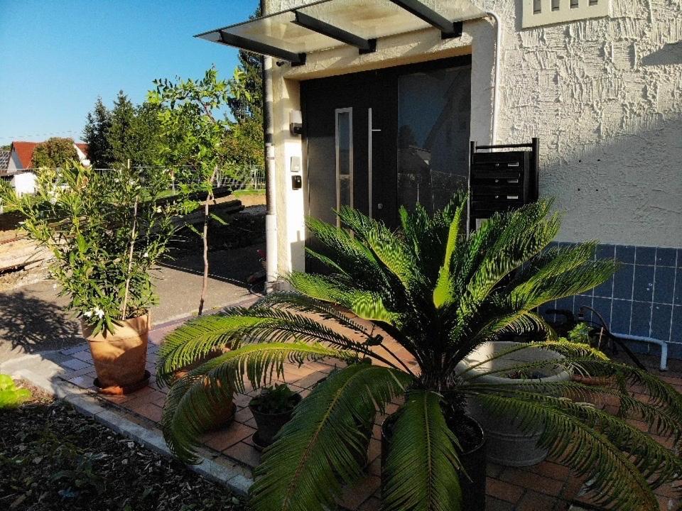 Sonnige 3 Mit Schönem Balkon Im Grünen Apartment
